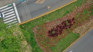 separador ciudad jardin