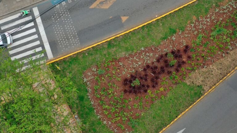 separador ciudad jardin