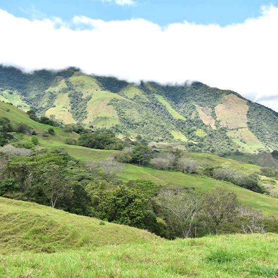Compensaciones ambientales Dabeiba paisajes Antioquia